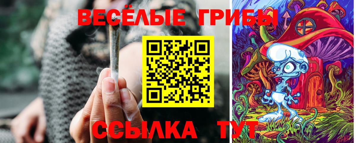 Галлюциногенные грибы Psilocybine cubensis  Вход с VPN  Нефтеюганск 